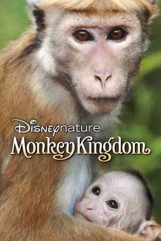 Monkey Kingdom Soundtrack