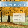 Ludwig Van Beethoven - Piano Sonata No. 8 in C minor, Op. 13, 'Sonata Pathetique,' No. 2: Adagio cantabile