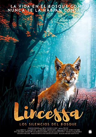 Lincessa. Los silencios del bosque Soundtrack