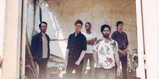 Foals