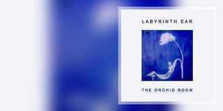 Labyrinth Ear