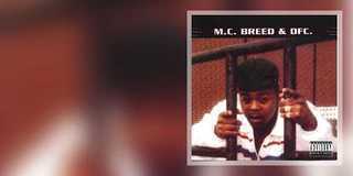 M.C. Breed & DFC