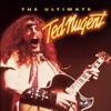 Ted Nugent - Baby Please Don’t Go