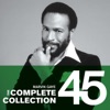 Marvin Gaye & Tammi Terrell - Stubborn Kind of Fellow