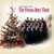 Vienna Boys Choir - Adeste Fideles