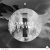 Syn Cole - It's You (Radio Edit)