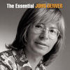 John Denver - Annie's Song