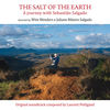 Laurent Petitgand  - The Salt of the Earth