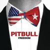 Pitbull, Pitbull & Leona Lewis - Freedom