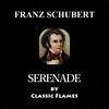 Classic Flames - Franz Schubert: Schwanengesang, D. 957: No. 4, Serenade (Ständchen)
