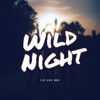 V12 & M86 - Wild Night