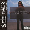 Seether - Fine Again