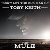 Toby Keith - Don't Let the Old Man In