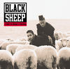 Black Sheep - The Choice Is Yours