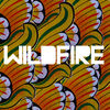 SBTRKT - Wildfire