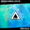 Middle Child & S E S H - Euphoria