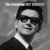 Roy Orbison - Only the Lonely (Know the Way I Feel)