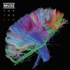 Muse - Survival