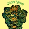 Ultimate Spinach - (BALLAD OF) THE HIP DEATH GODDESS
