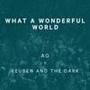 Reuben And The Dark & AG - What a Wonderful World