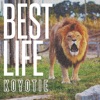KOYOTIE - Best Life