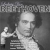 Ludwig Van Beethoven, Jim Long - Symphony No. 9 in D minor Op. 125: Molto Vivace