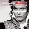 Adam & The Ants - Stand and Deliver