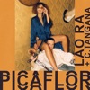 Anton Alfaro, Alfaro Alvarez - Picaflor