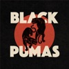 Black Pumas - Colors