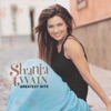 Shania Twain - You're Still The One