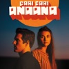 Cari Cari - Anaana