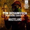 Tim Besamusca - Wasteland (Radical Project Remix) [feat. Chrysa T]