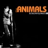 The Animals - Don't Bring Me Down