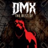 DMX - Ruff Ryders' Anthem